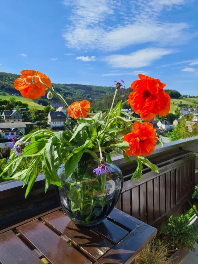 Panoramablick Willingen Schwalefeld Apartman Kültér fotó