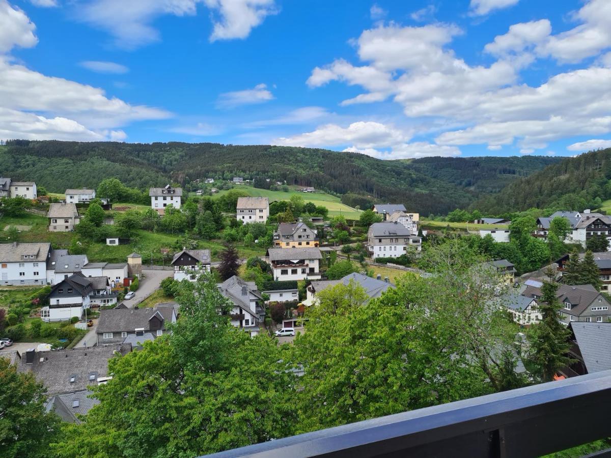 Panoramablick Willingen Schwalefeld Apartman Kültér fotó