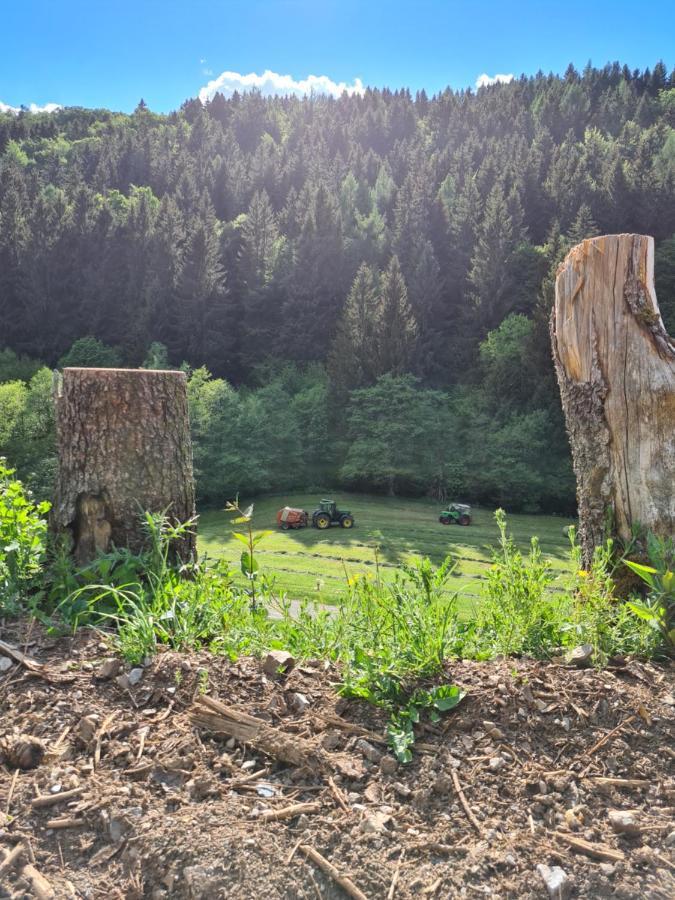 Panoramablick Willingen Schwalefeld Apartman Kültér fotó